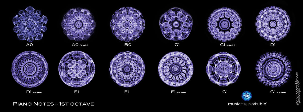 Cymatics, Our Favorite New Word – Science, Beauty and Resonance All in One Squared Dimension